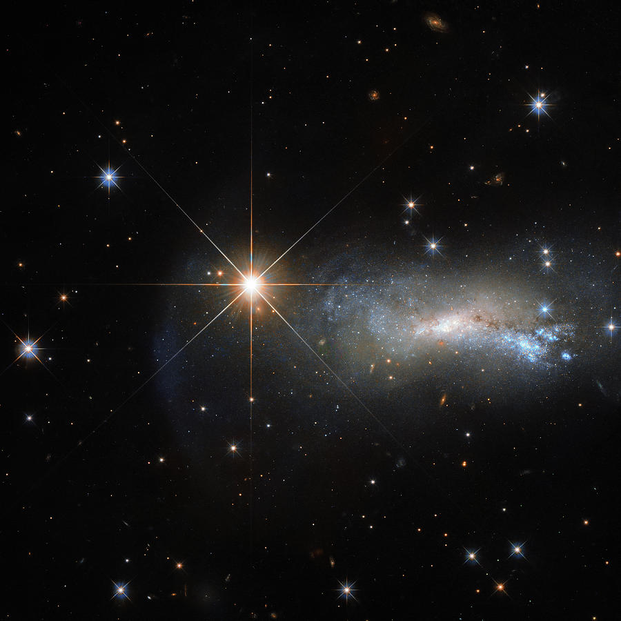 Hubble - Its Bright Shining Lizard Star Photograph