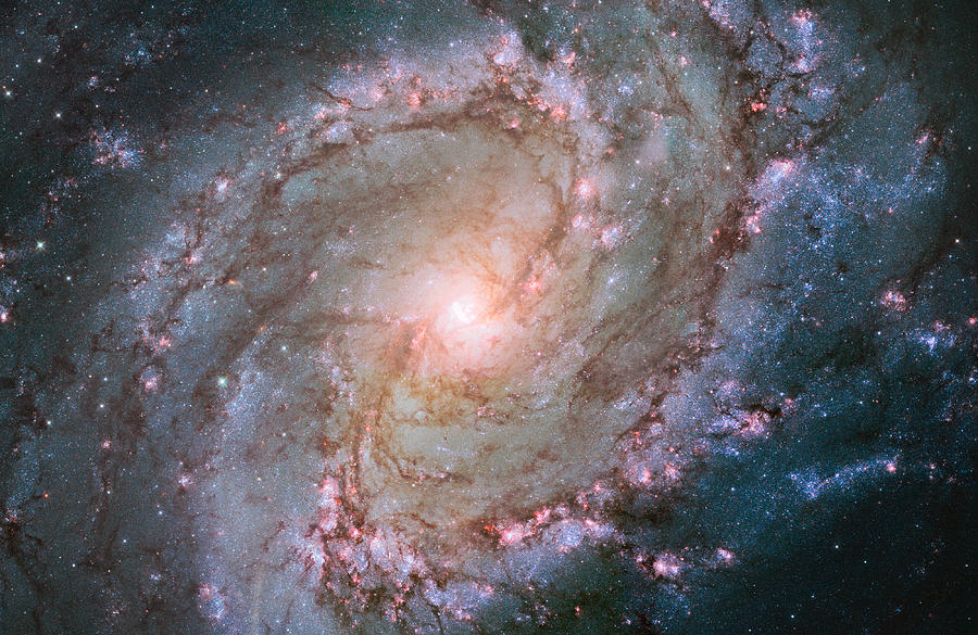 Hubble Views Stellar Genesis in the Southern Pinwheel Galaxy Photograph by Eric Glaser