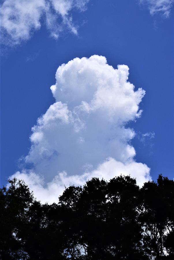 Huge Cloud Photograph by Warren Thompson