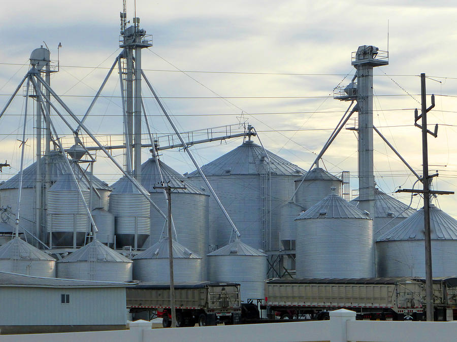 Huge Grain Elevators Photograph by Tina M Wenger - Pixels