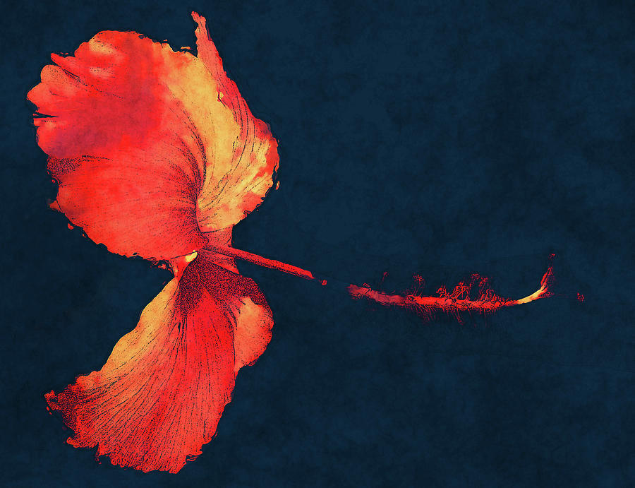 Hibiscus Bloom Digital Art - Huge Hibiscus Illustration by Georgiana Romanovna