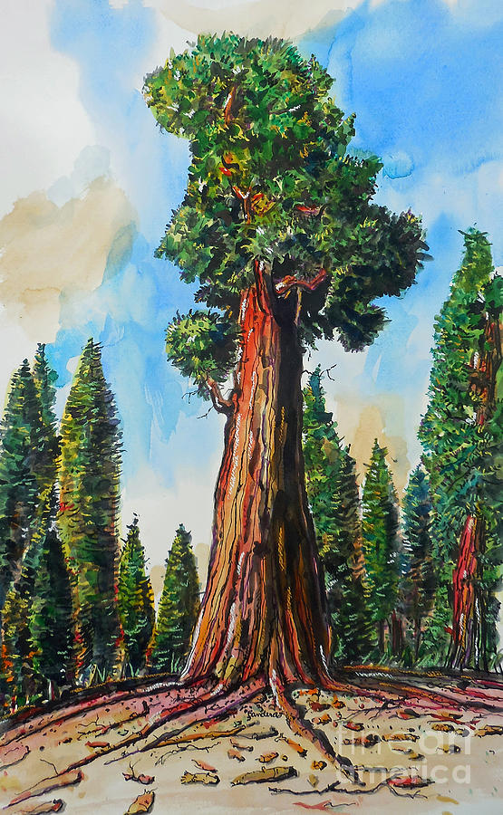 Huge Redwood Tree Painting by Terry Banderas