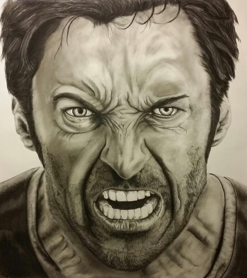 Hugh Jackman Drawing - Hugh Jackman The Wolverine  by Tim Brandt