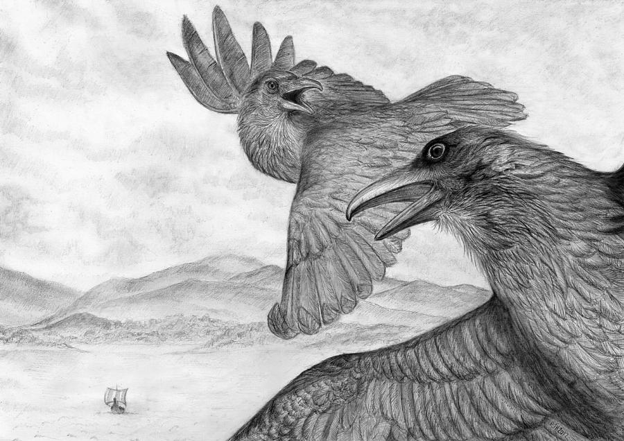 Raven Drawing - Huginn and Muninn by Philip Harvey