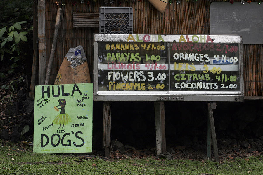 Hula Dogs Photograph by Kenneth Campbell