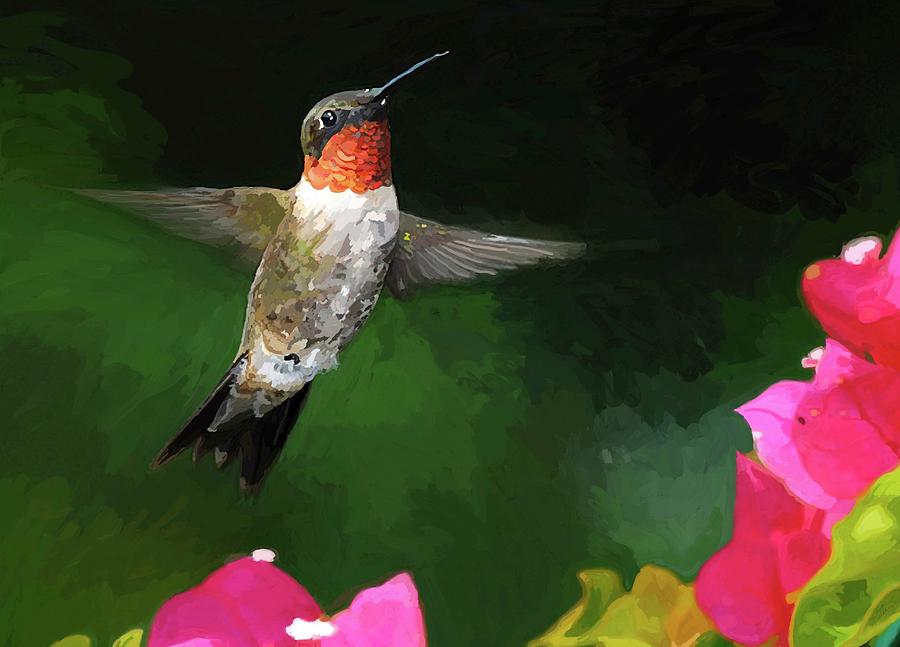 Hummingbird Painting - Hum a Song by Patti Siehien