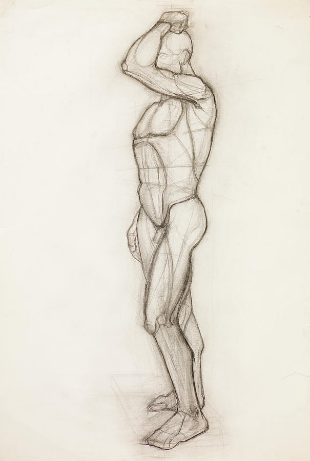 Human Body Anatomy Study Drawing By Dan Comaniciu