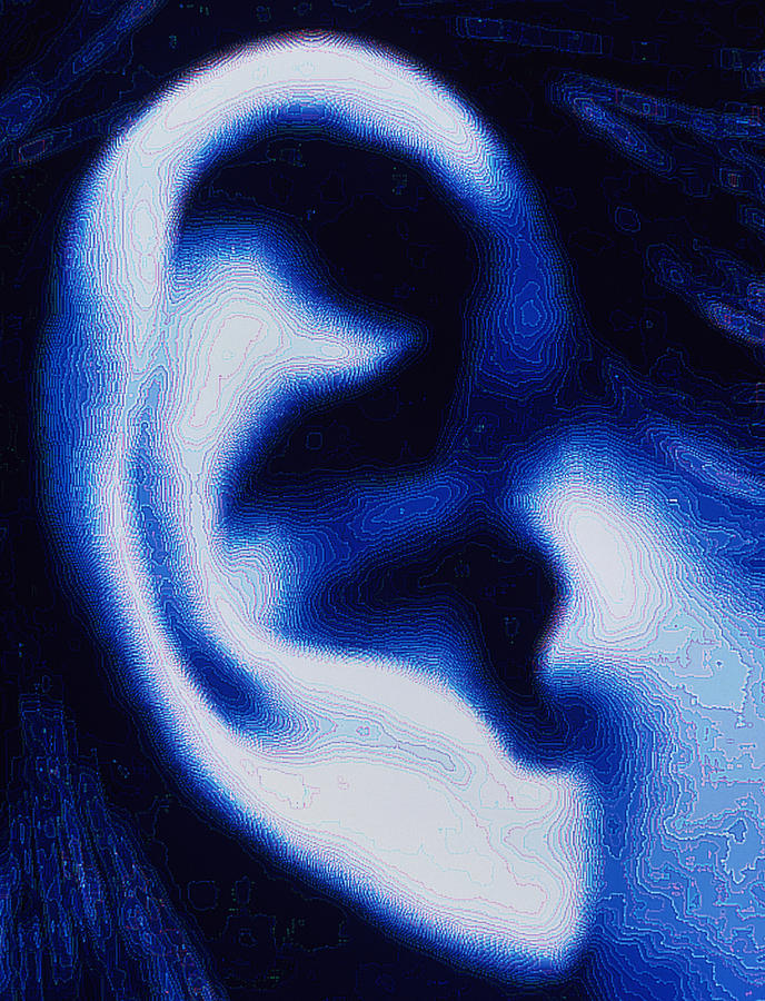 Ear Pinna Photograph - Human Ear by Pasieka