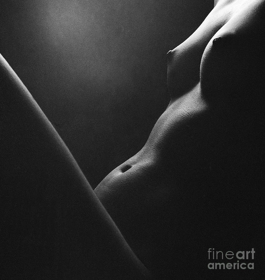 Portrait Photograph - Human form abstract body part by Anonymous