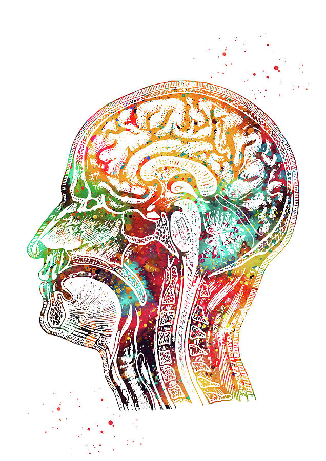 Human Head Digital Art - Human head by Erzebet S Human Head Digital Art - Human head by Erzebet S