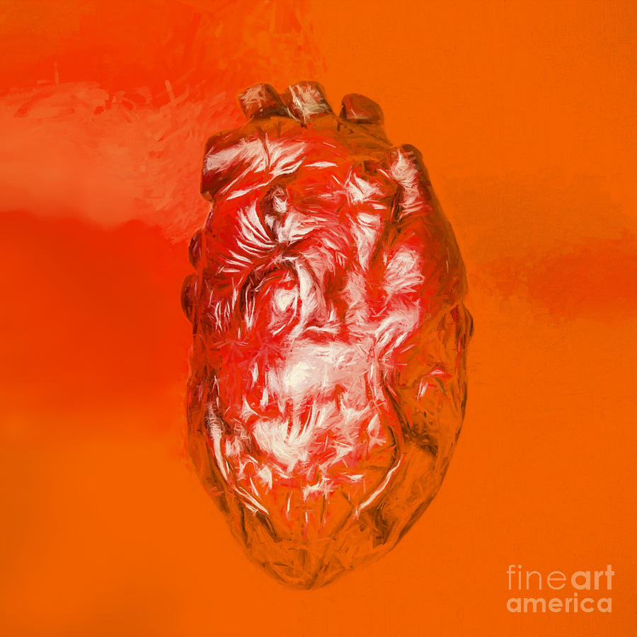 Human heart in digital art Digital Art by Jorgo Photography