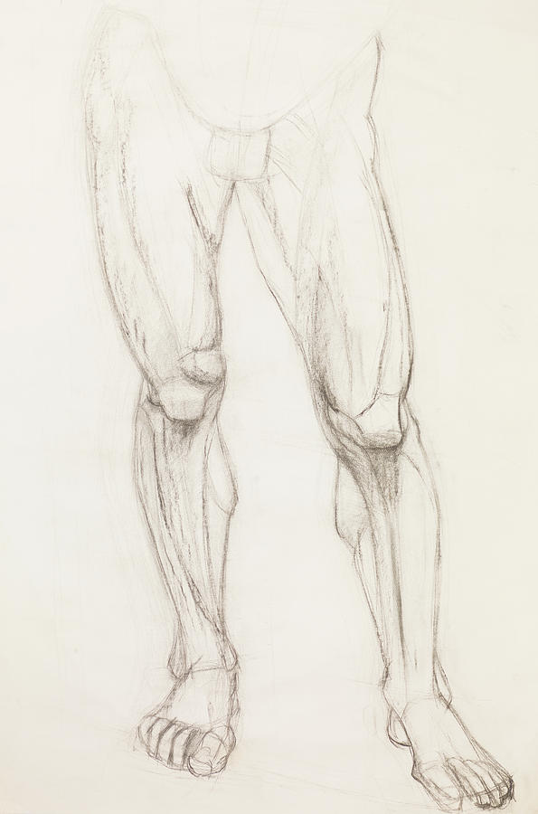 How to Draw Legs - Anatomically Correct Male and Female Legs