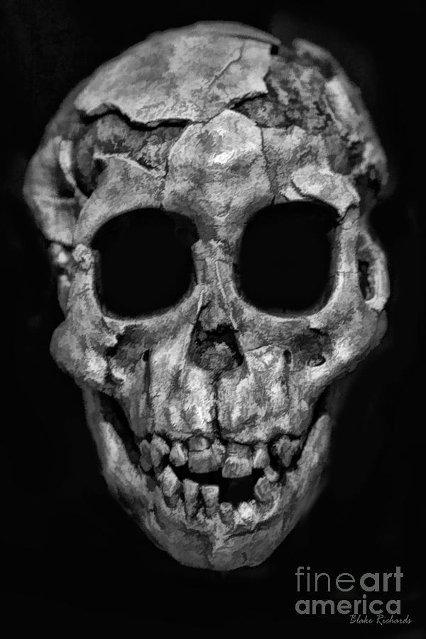 Human Skull Black And White Photograph by Blake Richards