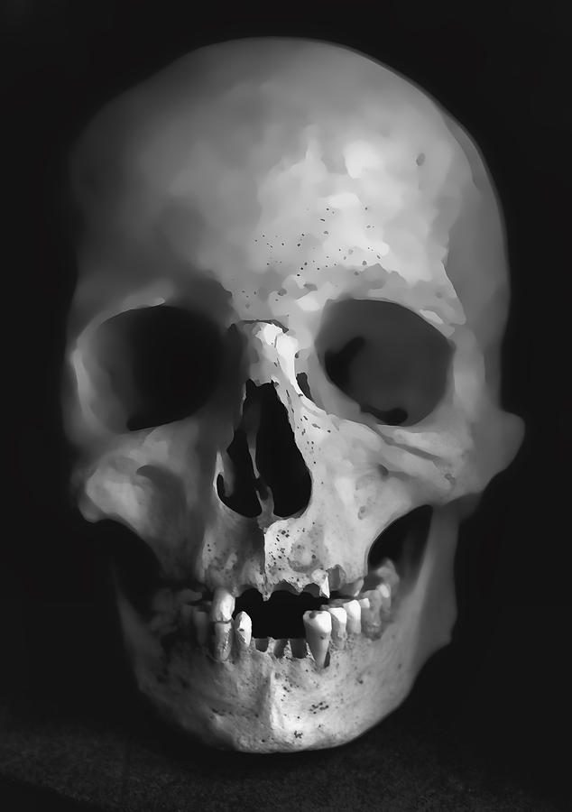 Human Skull Photograph By Daniel Hagerman