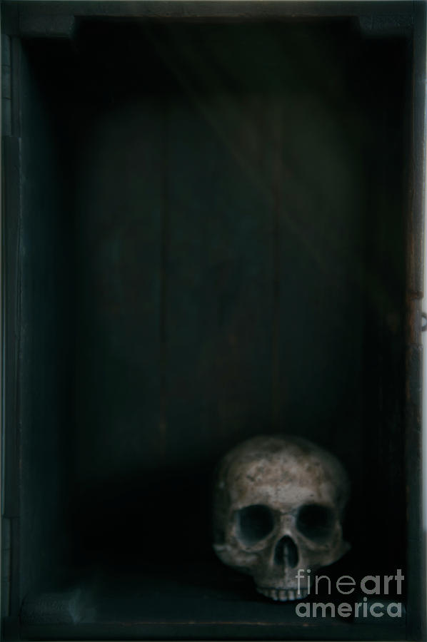 Human Skull In A Wooden Box Photograph by Lee Avison