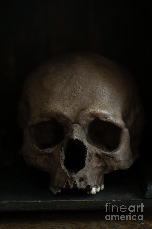 Human Skull Photograph by Lee Avison