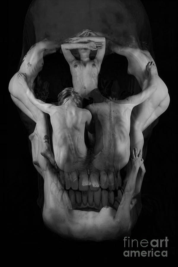Human skull Photograph by Robert WK Clark