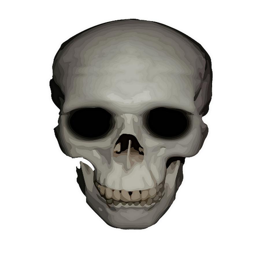 Halloween Digital Art - Human Skull Vector Isolated by Taiche Acrylic Art