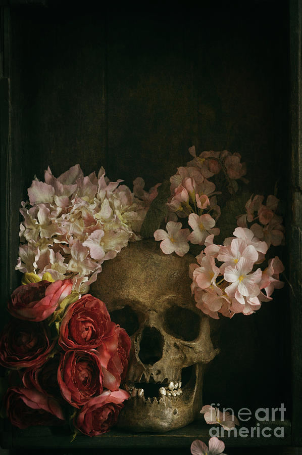 Human Skull With Flowers Photograph by Lee Avison