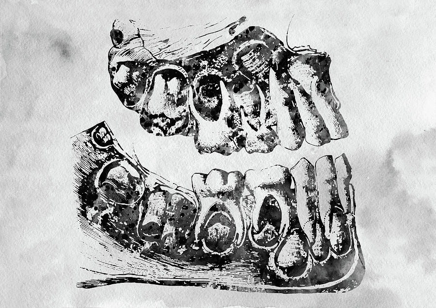 Human Teeth Anatomy X Digital Art By Erzebet S - Fine Art America