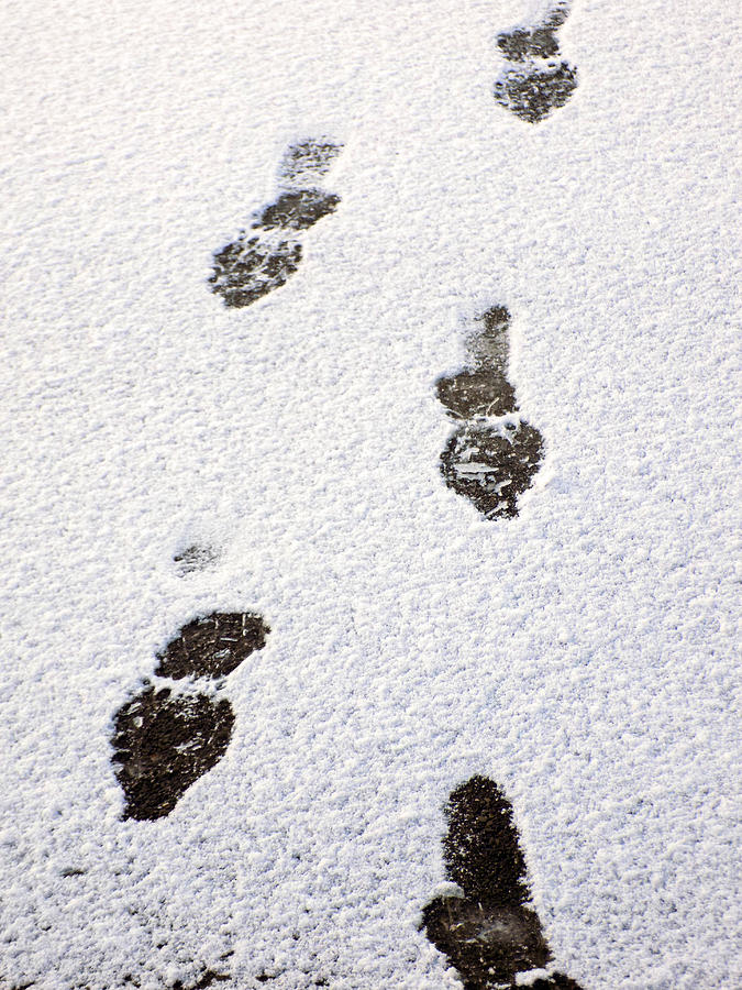 Human Tracks Photograph By William Tasker - Fine Art America