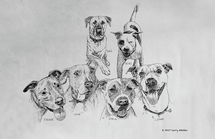 Humane Society Gang Drawing by Larry Whitler