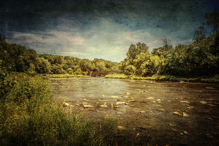 Humber River at Old Mill Photograph by Nicky Jameson