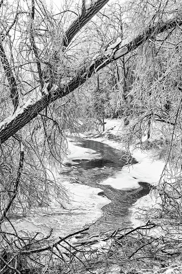 Humber River Winter 2 bw Photograph by Steve Harrington