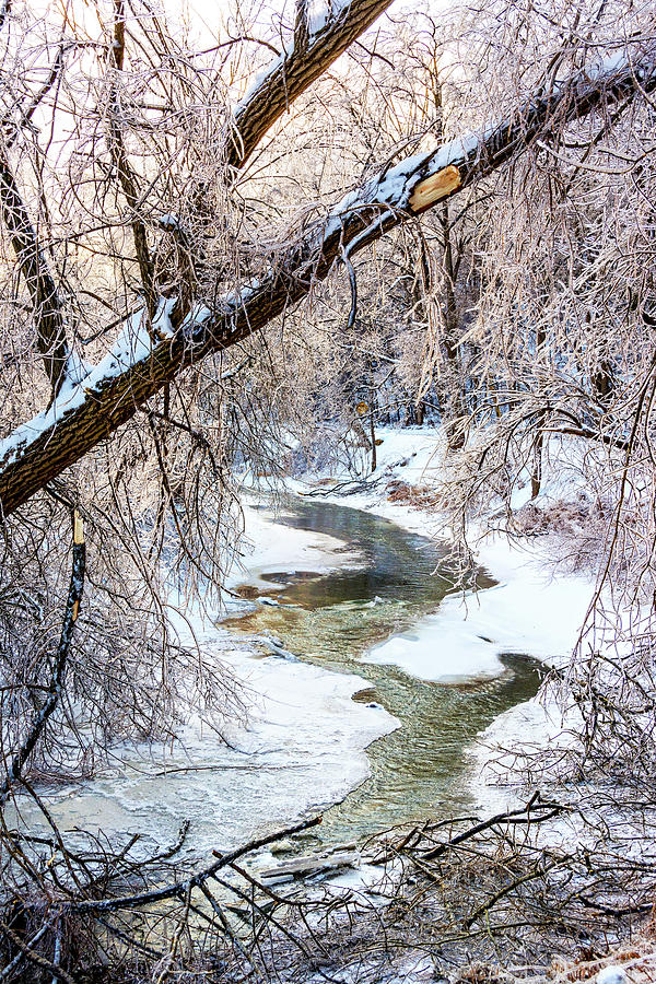 Winter Photograph - Humber River Winter 2 by Steve Harrington
