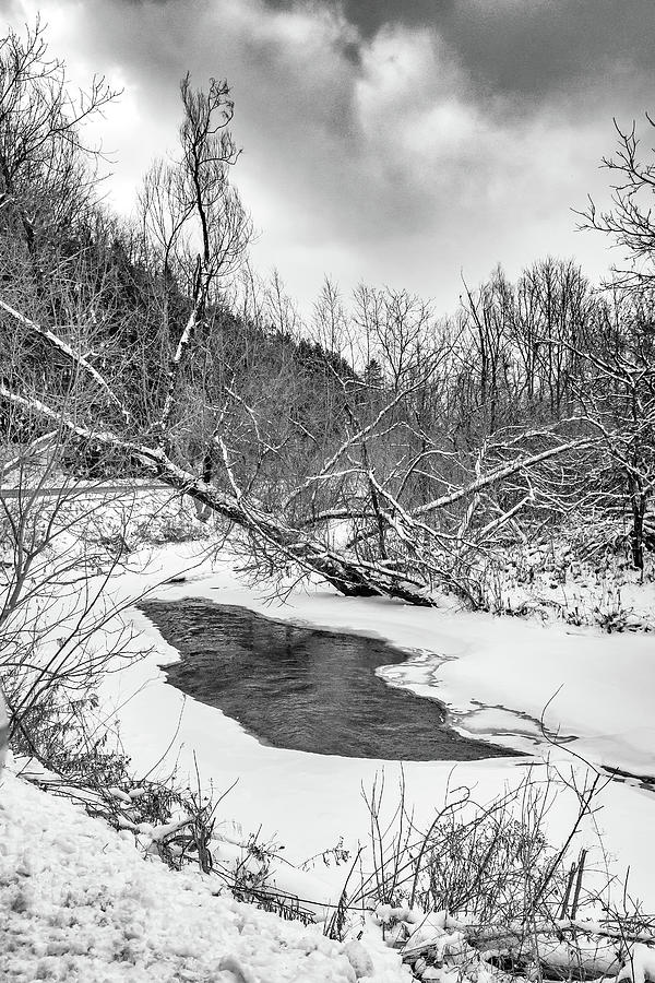Humber River Winter 4 bw Photograph by Steve Harrington