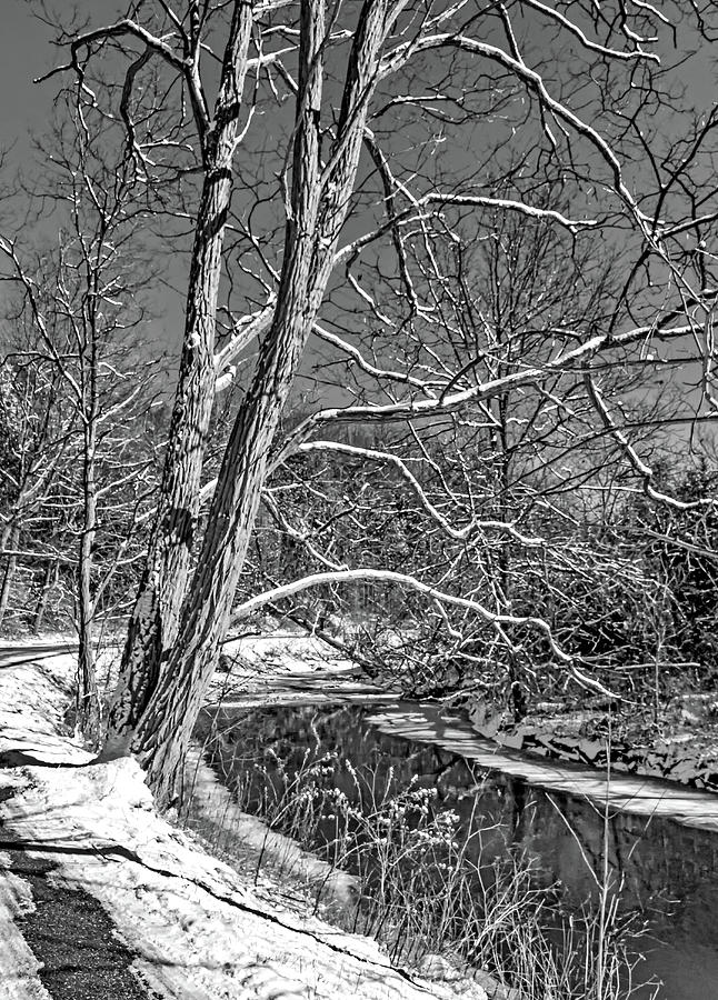 Humber River Winter 7 bw Photograph by Steve Harrington