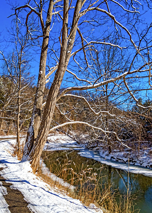 Humber River Winter 7 Photograph by Steve Harrington