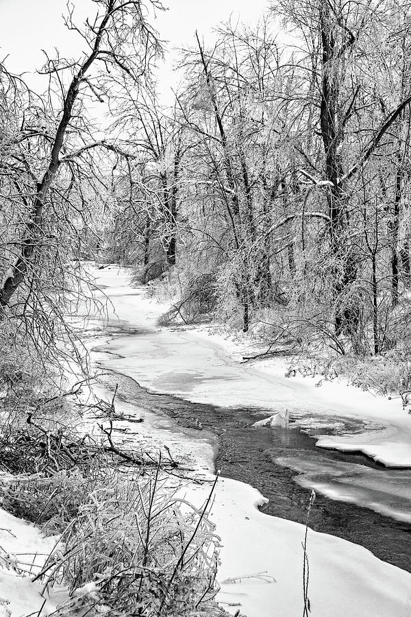Humber River Winter bw Photograph by Steve Harrington