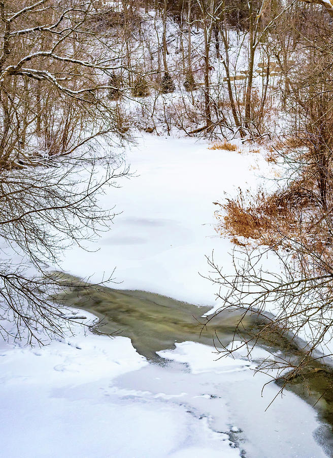 Humber River - Winter Moods 2 Photograph by Steve Harrington