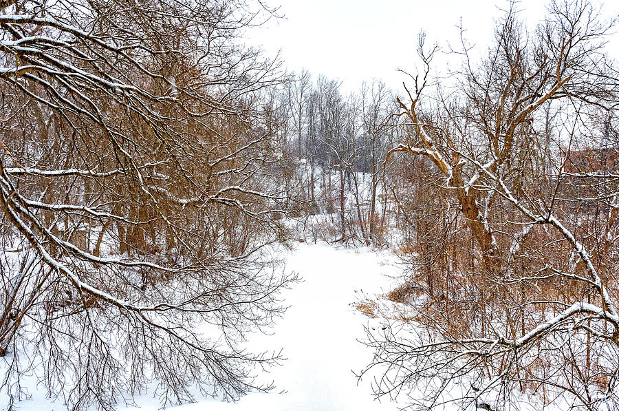 Humber River - Winter Moods 3 Photograph by Steve Harrington