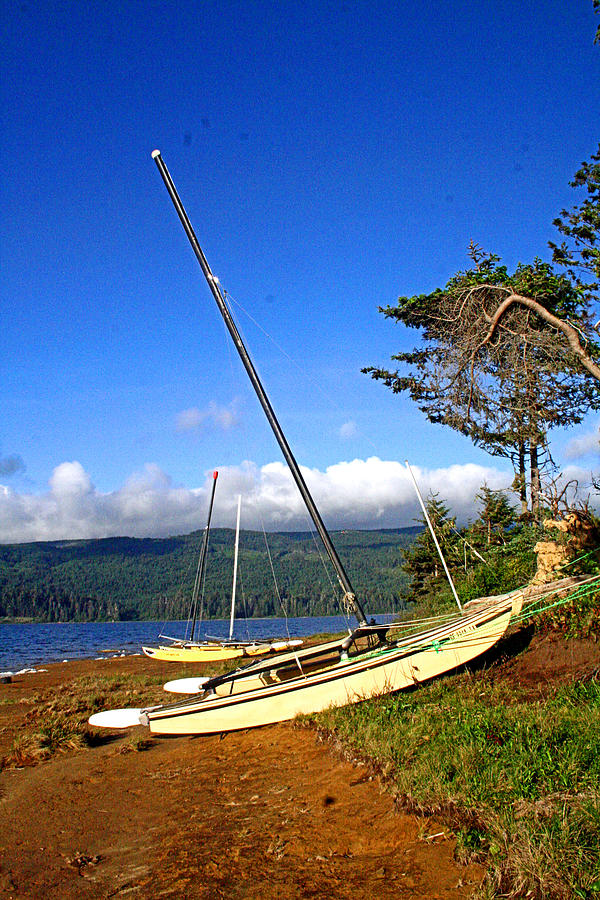 Humboldt County Hobie Boats Photograph by Joseph Coulombe