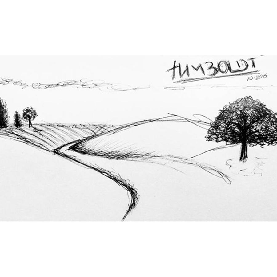 Pen Photograph - #humboldt #drawing #pen #sketch #paper by Image Creative Media
