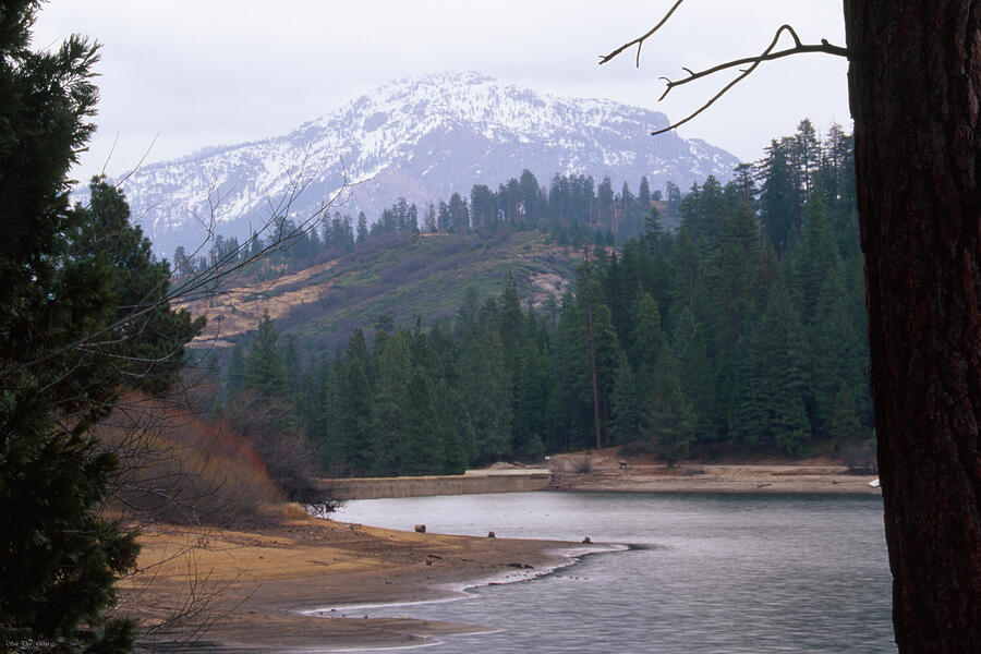 Hume Lake Photograph by Soli Deo Gloria Wilderness And Wildlife
