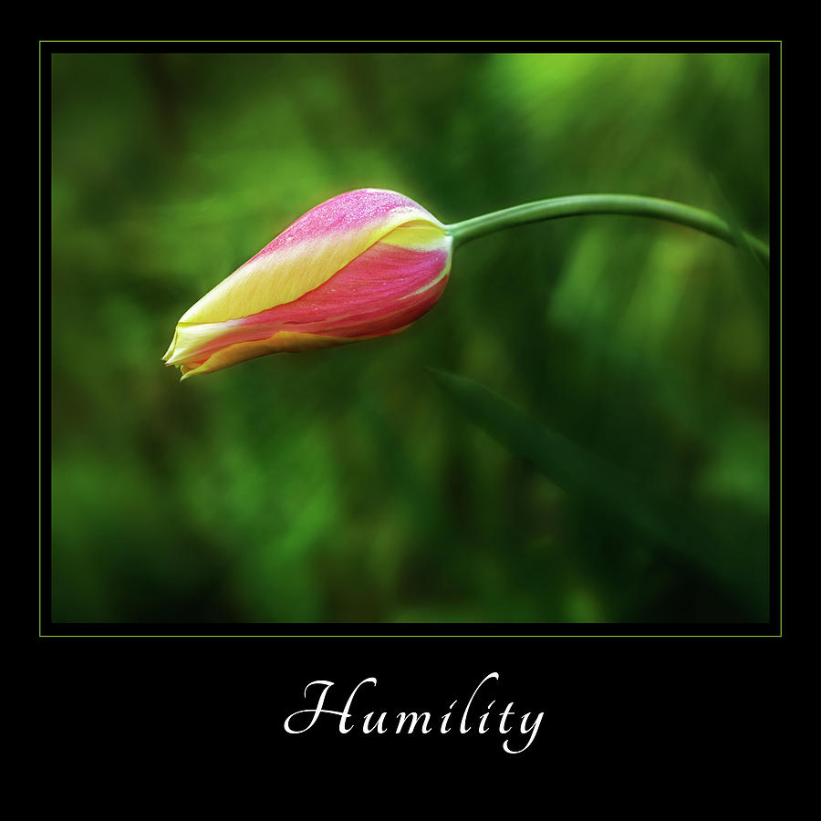 Humility 1 Photograph by Mary Jo Allen