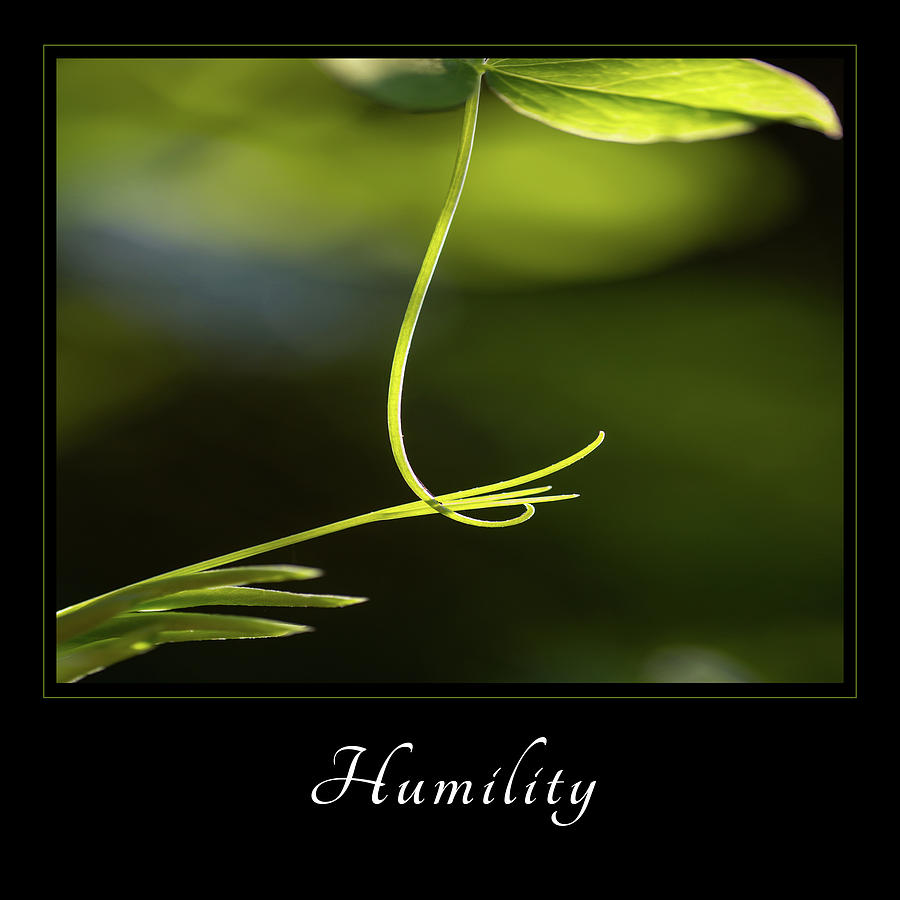 Humility 2 Photograph by Mary Jo Allen