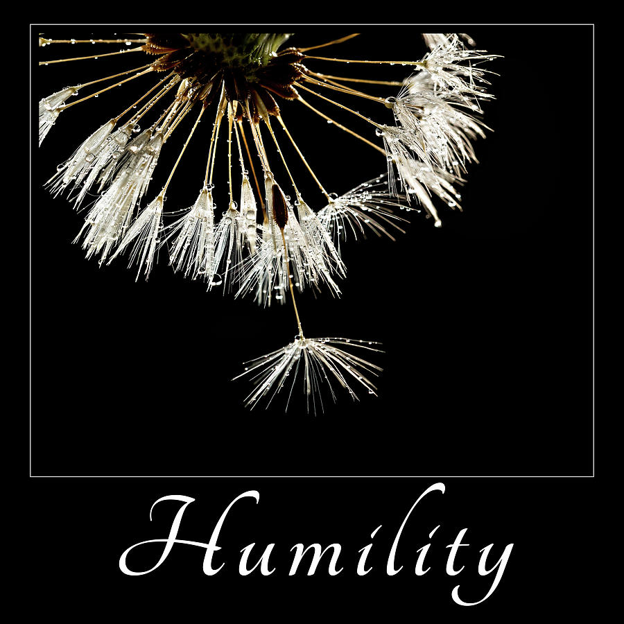 Humility Photograph by Mary Jo Allen