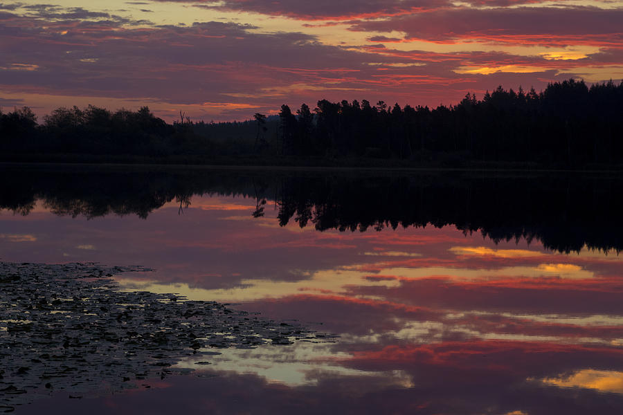Hummel Lake Sunrise Photograph by Matt McDonald
