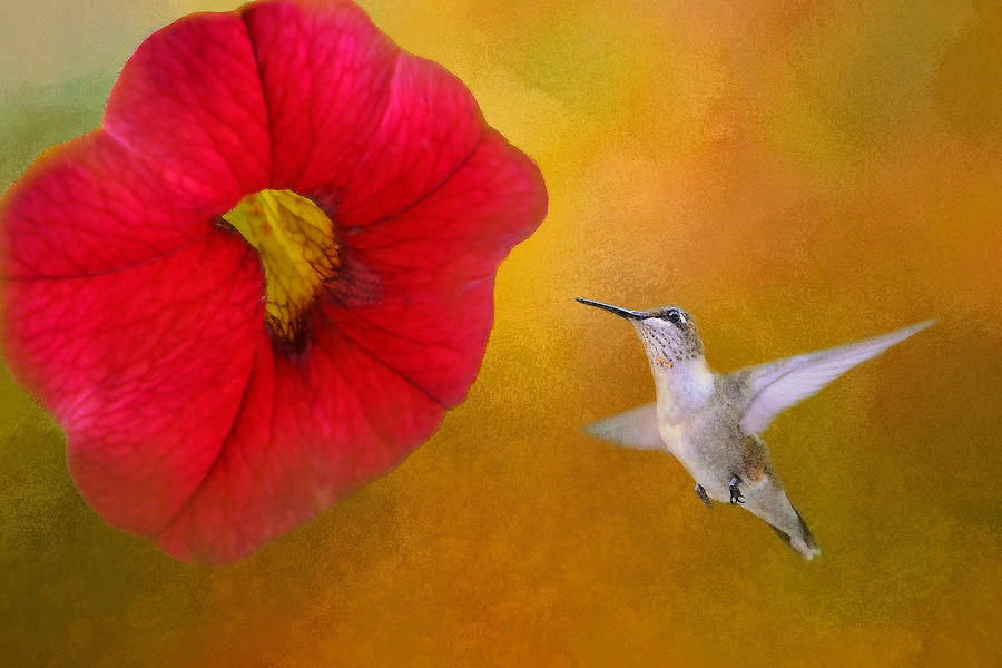 Humming Bird and Flower No. 1 Mixed Media by Billy Grimes