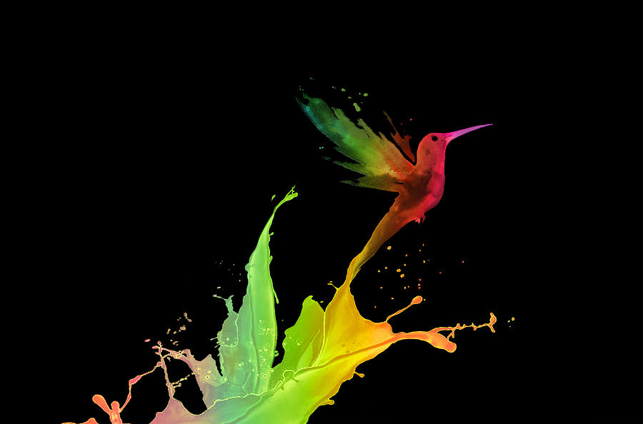 Animal Digital Art - Humming bird colours by Miguel Tejeda