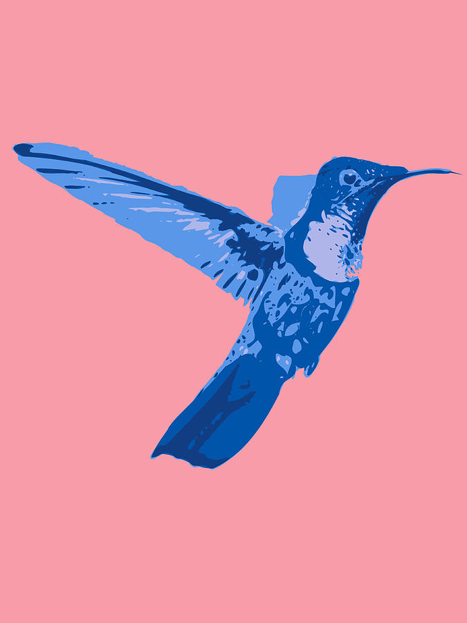 humming bird Contours blue Digital Art by Keshava Shukla