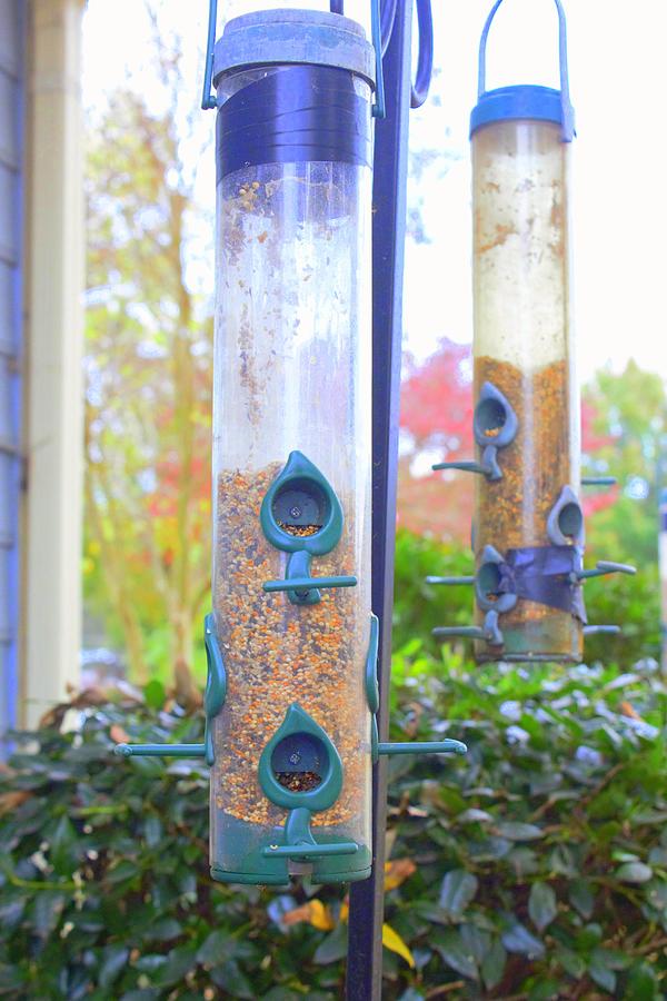 Humming Bird Feeders 2 Saturated in Color Photograph by Ali Baucom