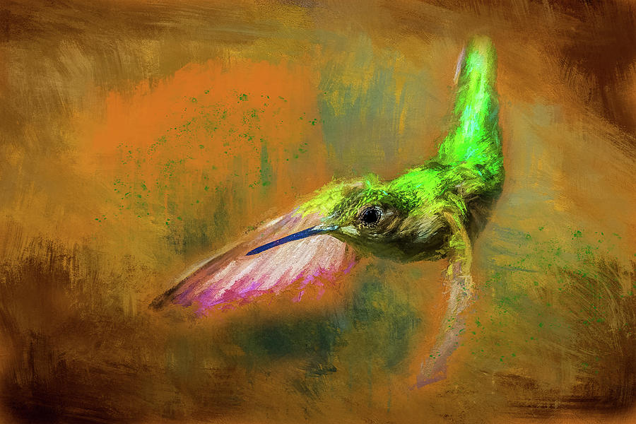 Humming Bird Painted Digital Art by Paul Freidlund