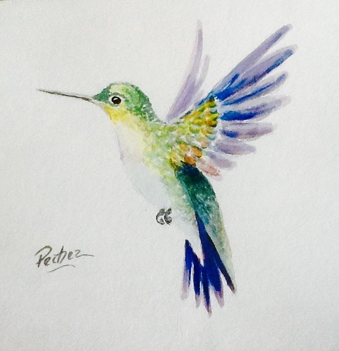 Hummingbird 1 Painting by Pechez Sepehri
