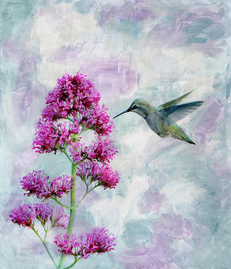 Hummingbird 1 Photograph by Rebecca Cozart