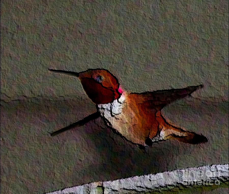 Hummingbird Photograph - Hummingbird 2 - Embossed by Erica Hanel